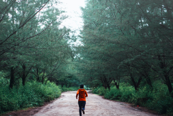 Personne faisant un jogging dans la forêt