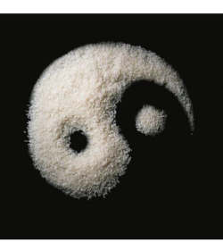 Riz noir et blanc symbolisant le Yin et le Yang 
