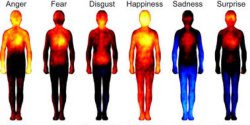 Illustration de la température, du lieu où l&#039;on ressent les émotions dans le corps