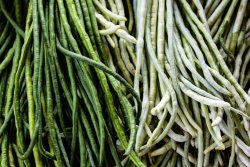 Haricots verts frais