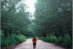 Personne faisant un jogging dans la forêt